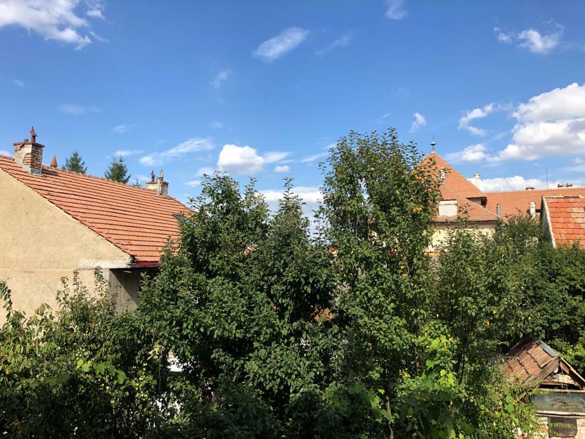 Schei Apartment 2 Braşov Esterno foto